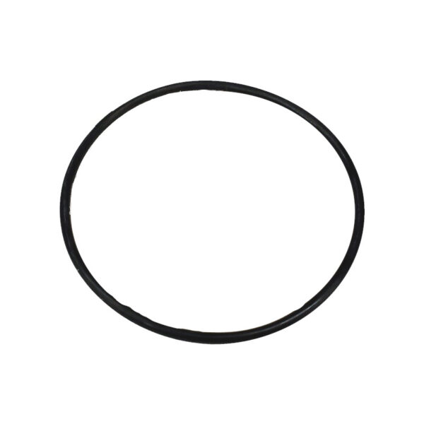 VALVE GATE SEAL (O-RING, 2 REQ)